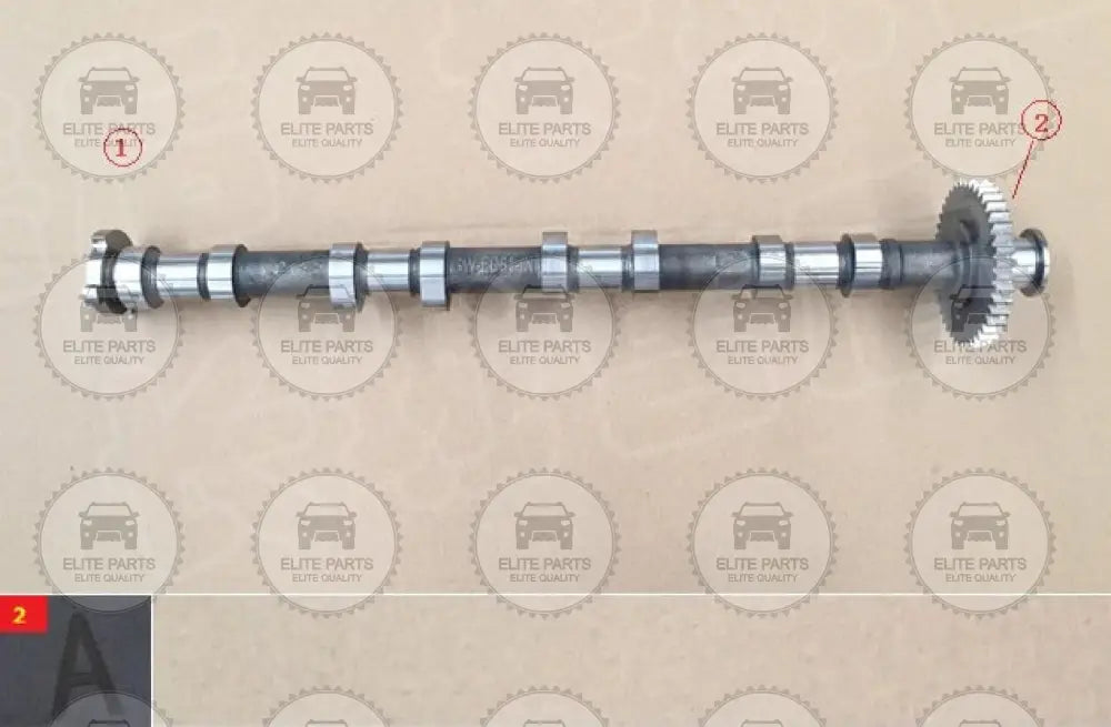 Great Wall Pickup POER 6MT Diesel Engine Intake Camshaft Assembly (عمود كام كامشافت السحب جريت وول بيكب بوير محرك ديزل) 1006100AED61