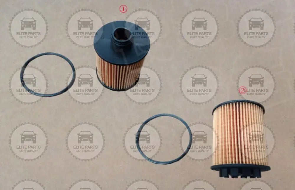 HAVAL H7 2.0T Original Oil Filter (فلتر زيت اصلي هافال اتش 7) 1017110XEN01