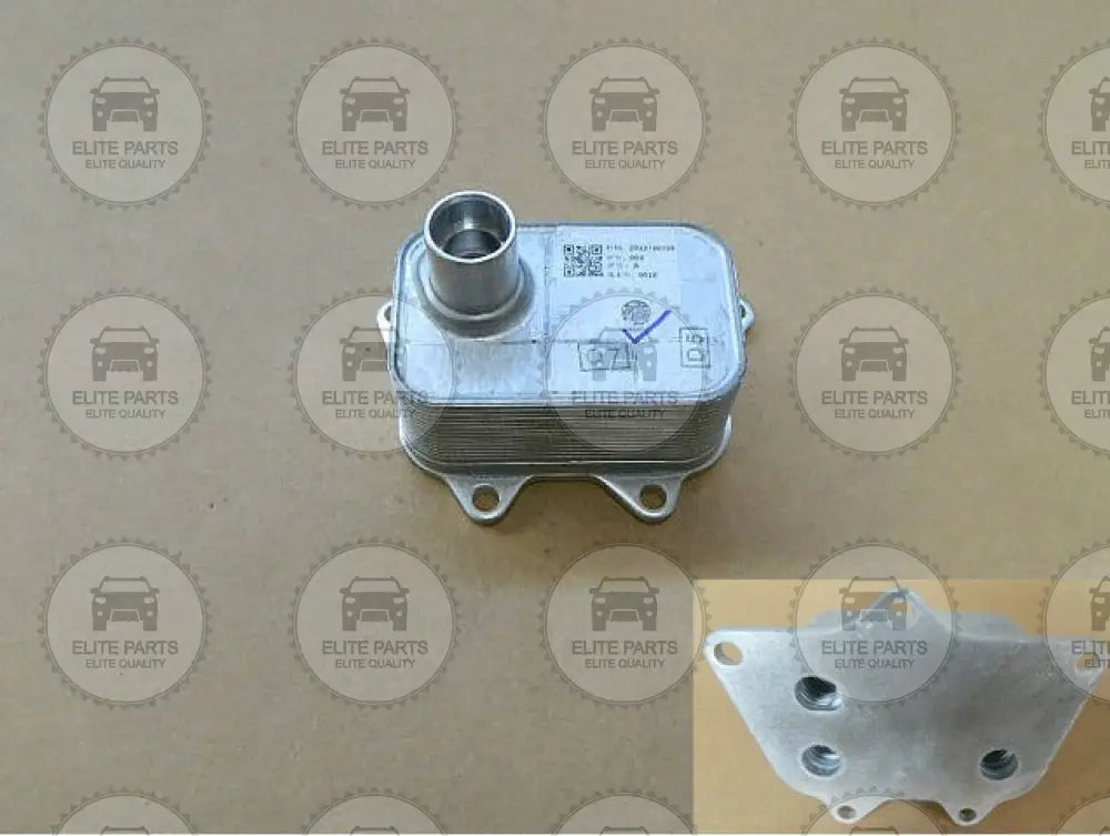 HAVAL H9 Original Engine Oil Cooler Assembly (مبرد زيت المحرك الاصلى هافال اتش 9) 1013100AEC01