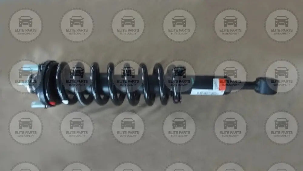 HAVAL H9 Original Front Shock Absorber with Coil Spring Assembly (مساعد ممتص صدمات امامى مع زنبرك هافال اتش 9) 2905100XKV64