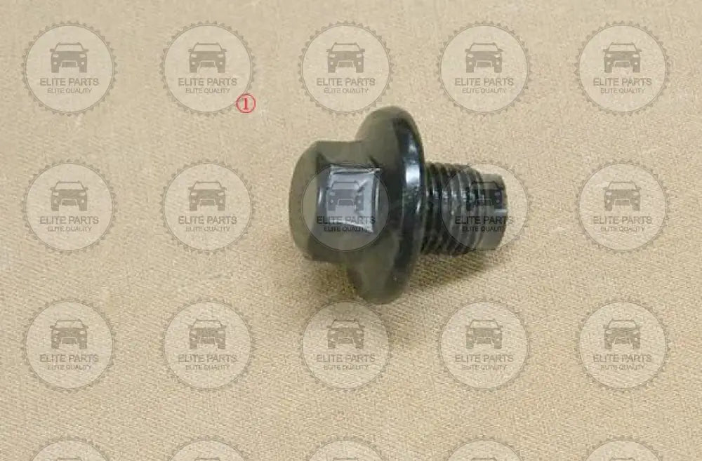 GWM Engines Original Combination Oil Drain Plug 1009304XEC06