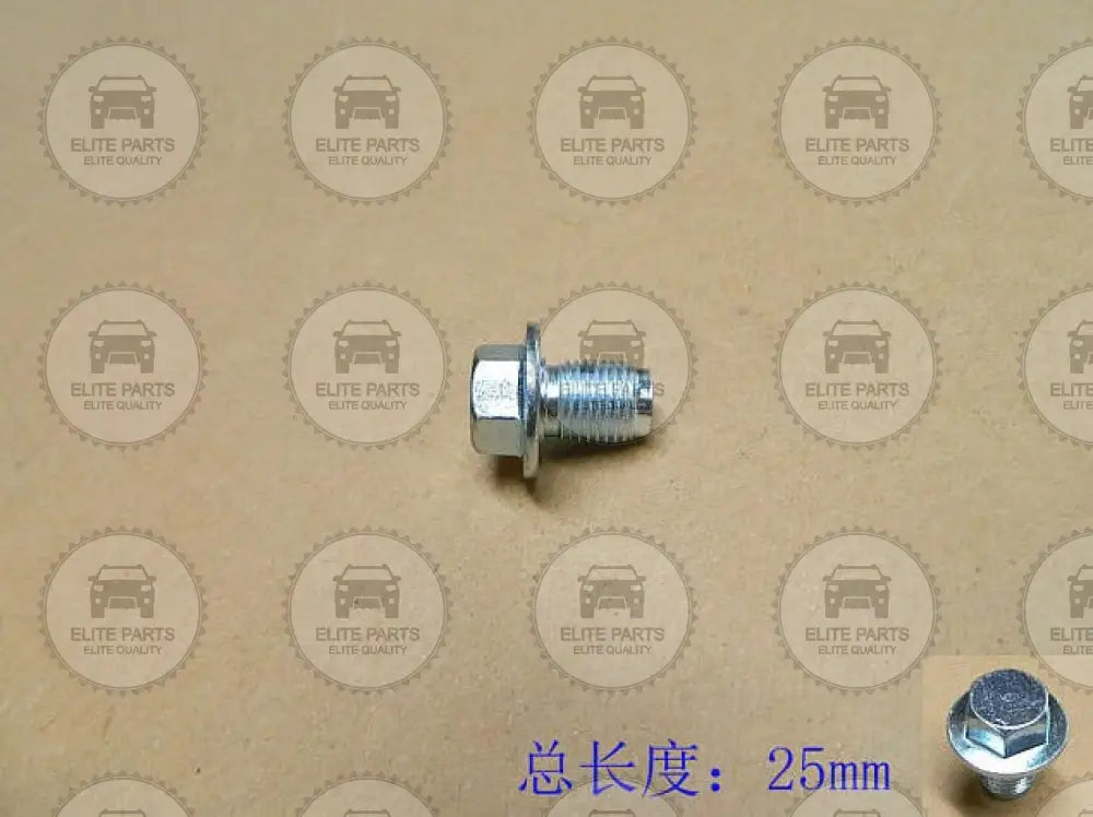 GWM HAVAL Original Oil Drain Plug (وردة طبة زيت محرك اصلية لسيارات جريت وول) 1009102-EG01