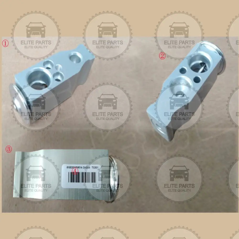 GWM POER Original AC Expansion Valve Assembly (صمام تمدد مكيف الهواء الاصلي جريت وول بيكب بوير) 8106200XPW01A