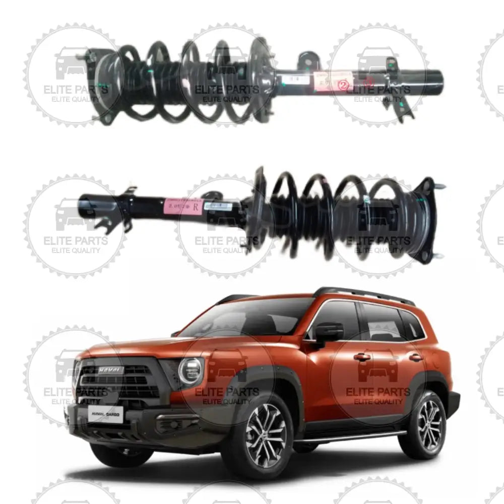 HAVAL DARGO Original Front Shock Absorber & Coil Spring Assembly (مساعد ممتص صدمات امامي مع زنبرك اصلي هافال دارجو)