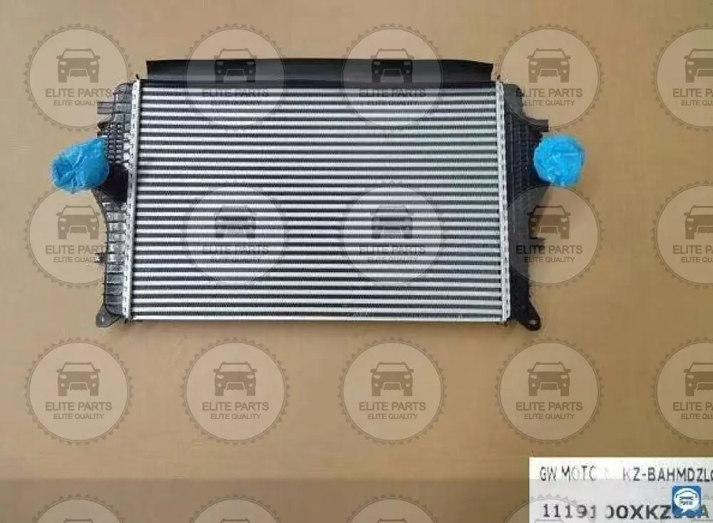 HAVAL H5 Original Turbo Intercooler Assembly (انتركولر مبرد هواء التيربو الاصلى هافال اتش 5) 1119100XKZ36A