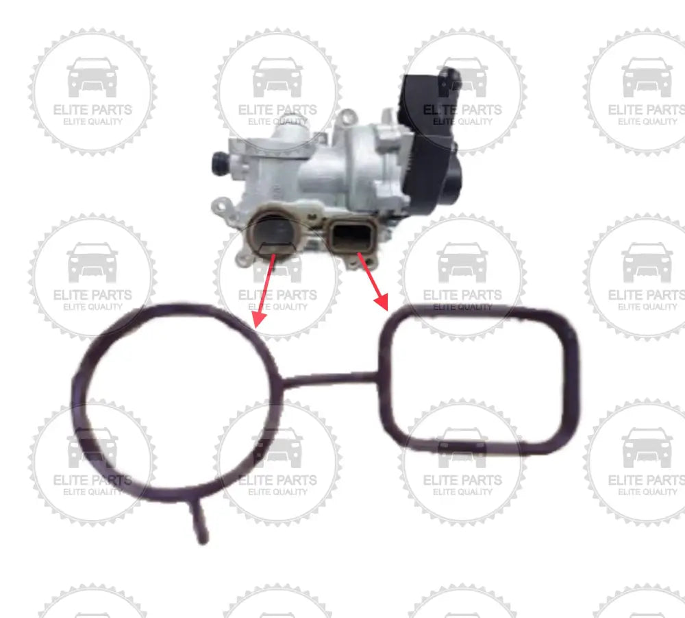 HAVAL H6 2nd Gen. Original Water Pump Body Seal Gasket (حشية جوان جسم مضخة طرمبة ماء التبريد هافال اتش 6 الجيل الثانى) 1307016XEC01