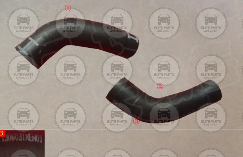 HAVAL H6 3rd Gen. & Dargo Original Main Outlet Pipe Connection Hose (خرطوم تبريد هافال اتش 6 و دارجو) 1306031XEN01