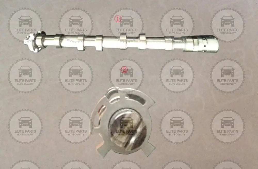 HAVAL H6 Generation 3 2.0T Original Exhaust Camshaft Assembly (عمود كامة كامشافت العادم هافال اتش 6 الجيل التالث محرك 2000) 1006200AEN01