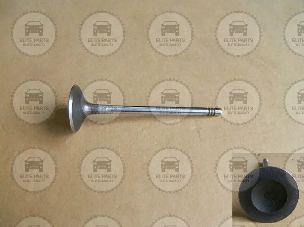 HAVAL H9 & H6 2nd Gen. Original Engine Intake Valves Kit (طقم صمامات المحرك للسحب هافال اتش 6 الجيل الثاني و هافال اتش 9) 1007011XEC01