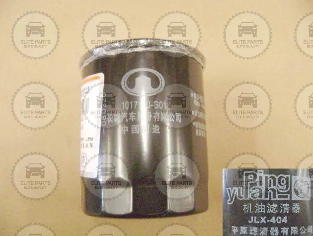 HAVAL Jolion HEV Engine Hybrid Oil Filter 1017100-EG01